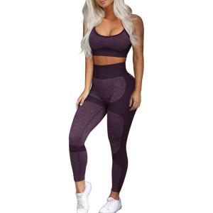 OLCHEE Women’s Workout Sets 2 Piece – Seamless Yoga Leggings and Cross-Strap Sports Bra Gym Outfits Activewear Matching Set(Bra and Leggings: Eggplant Purple)