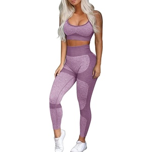 Women’s Workout Sets 2 Piece – Seamless Yoga Leggings and Cross-Strap Sports Bra Gym Outfits Activewear Matching Set(Bra and Leggings: Purple)